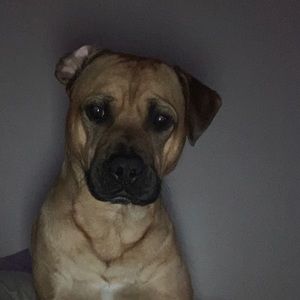 Meet your Posher, William